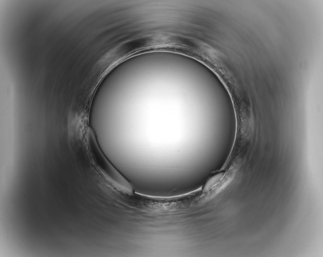 X0000094321369200711021344