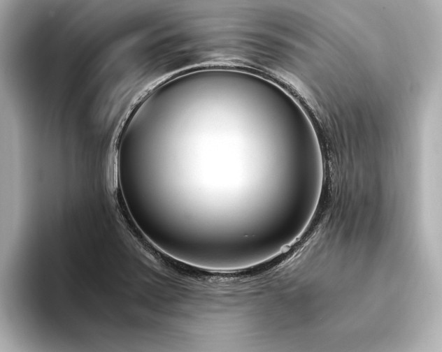 X0000094321371200711021344