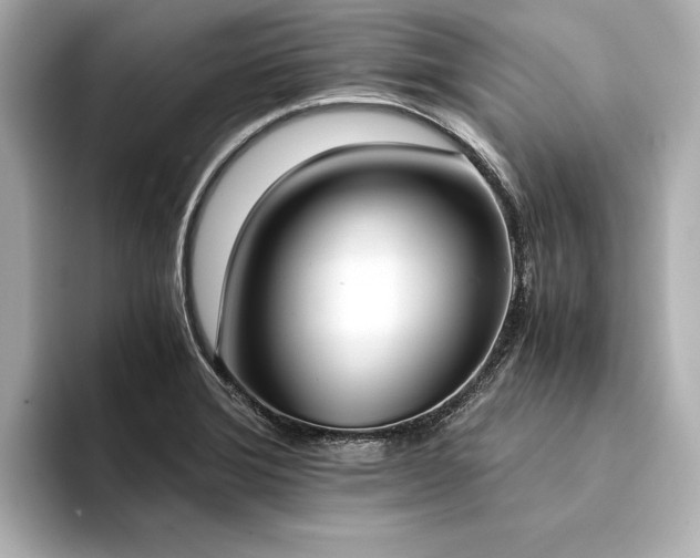 X0000094321372200711021344