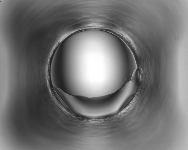 X0000094321373200711021344