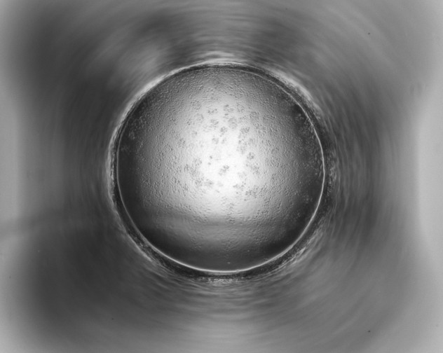X0000094321375200711021344