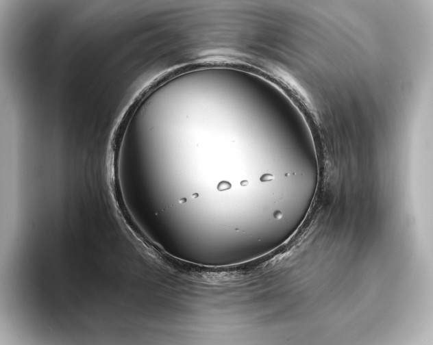X0000094321376200711021344