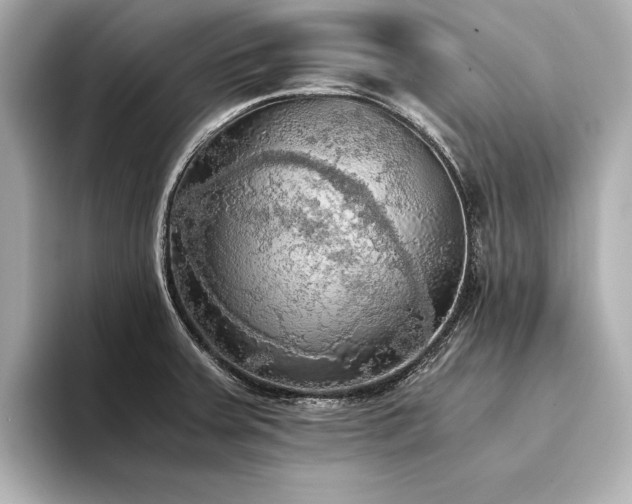 X0000094321379200711021344