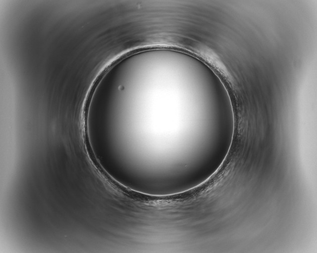 X0000094321380200711021344