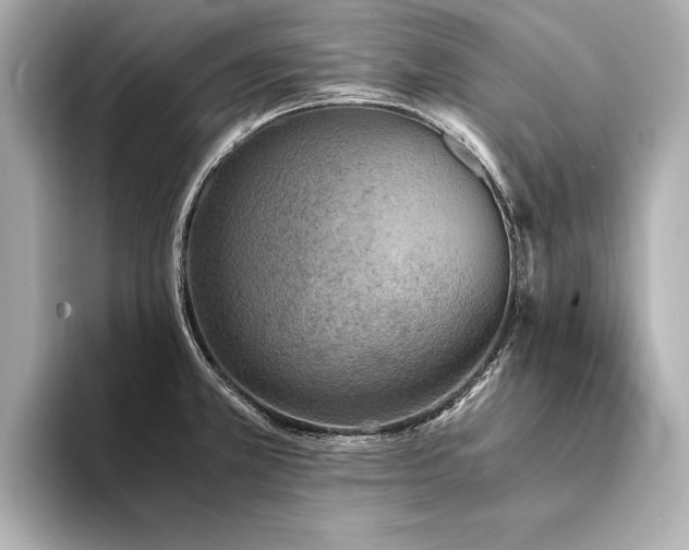 X0000094321381200711021344