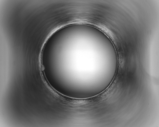 X0000094321382200711021344