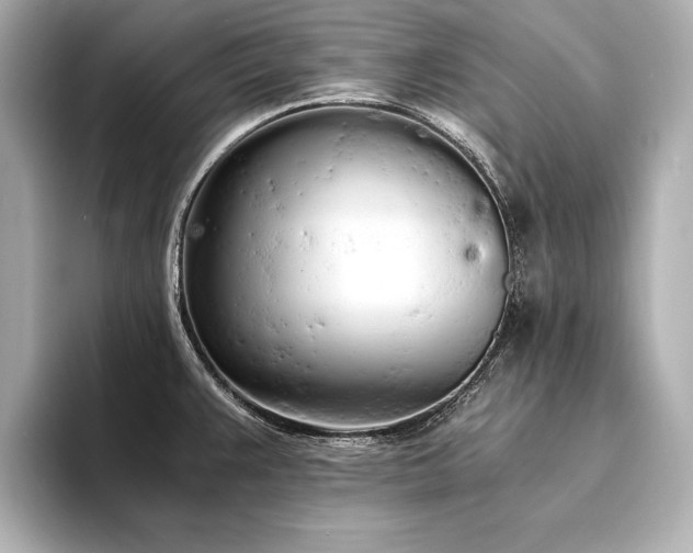 X0000094321383200711021344