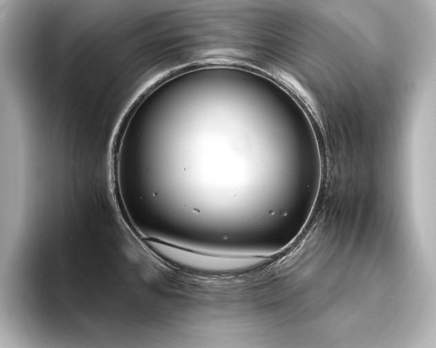 X0000094321384200711021344