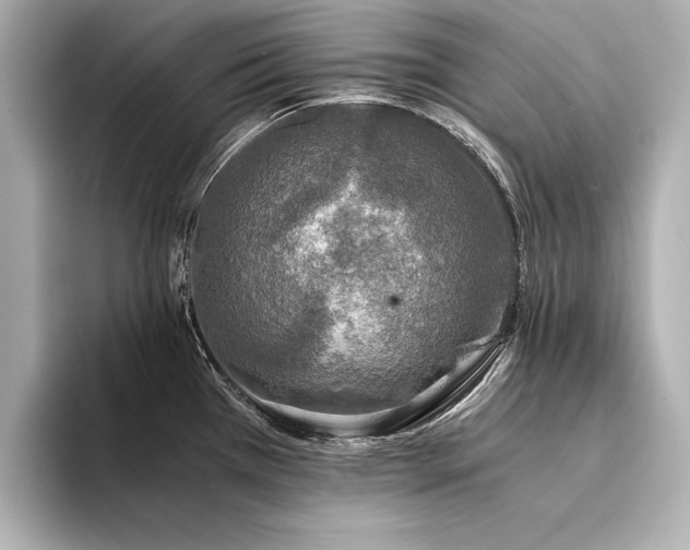 X0000094321385200711021344