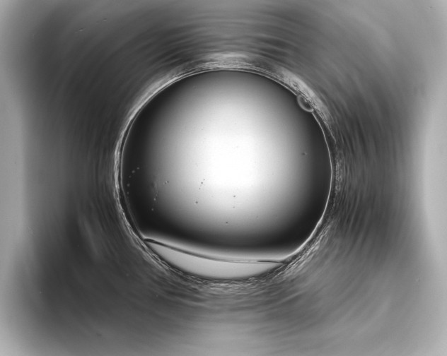 X0000094321386200711021344