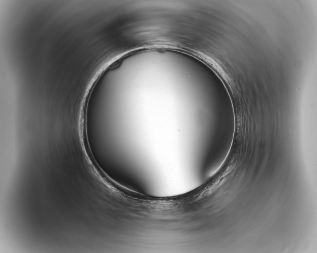 X0000094321387200711021344