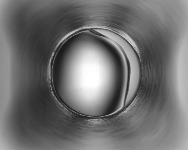 X0000094321388200711021344