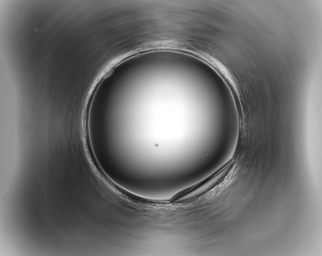 X0000094321389200711021344