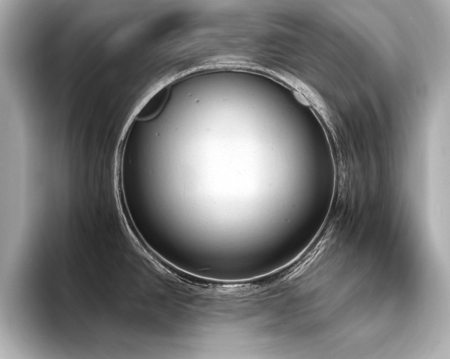 X0000094321390200711021343
