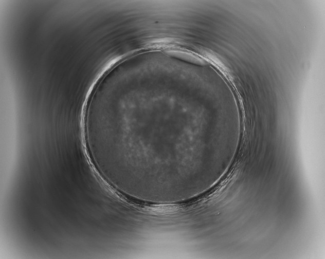 X0000094321392200711021343