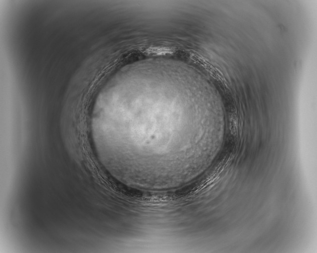 X0000094321393200711021343