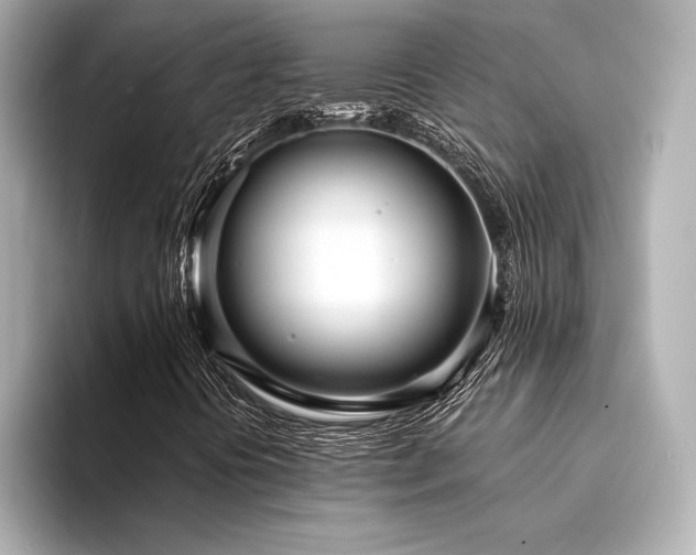X0000094321394200711021343
