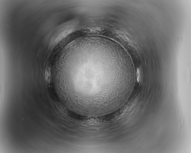 X0000094321395200711021343