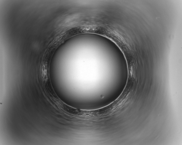 X0000094321396200711021343