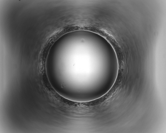 X0000094321398200711021343