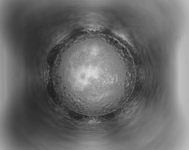 X0000094321399200711021343