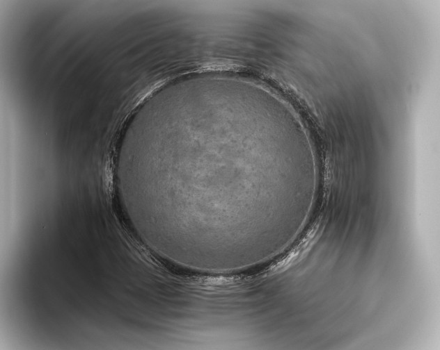 X0000094321401200711021343