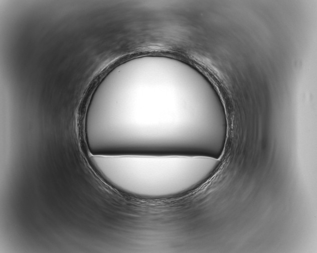 X0000094321404200711021343