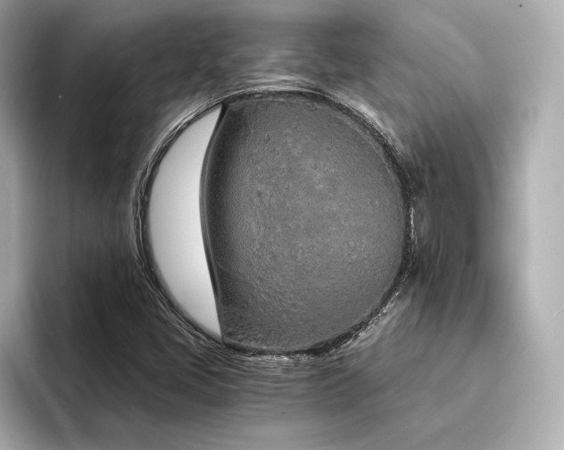 X0000094321405200711021343