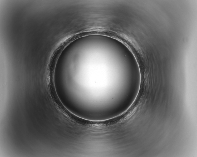 X0000094321406200711021343