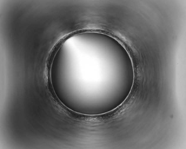 X0000094321408200711021343