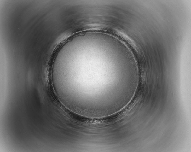 X0000094321411200711021343