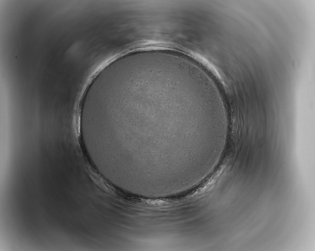 X0000094321413200711021343