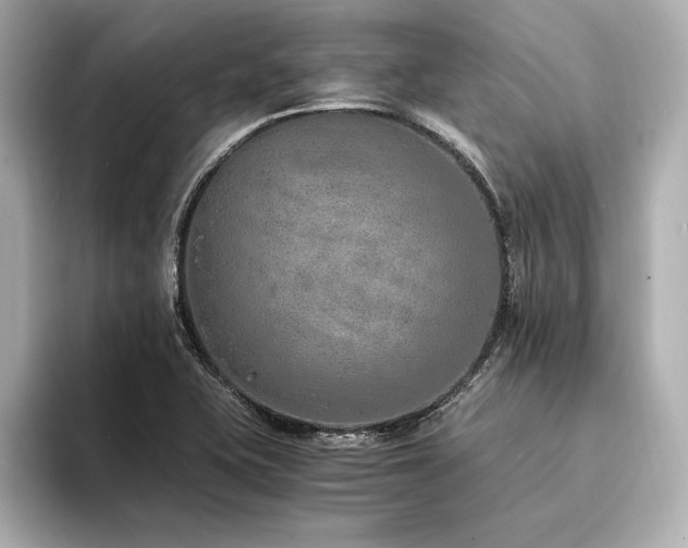 X0000094321415200711021343