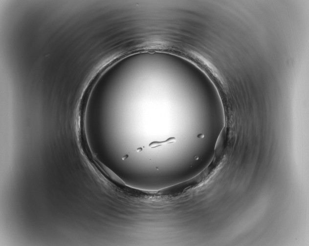 X0000094321418200711021343