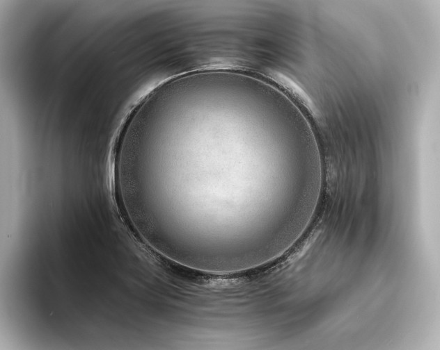 X0000094321419200711021343