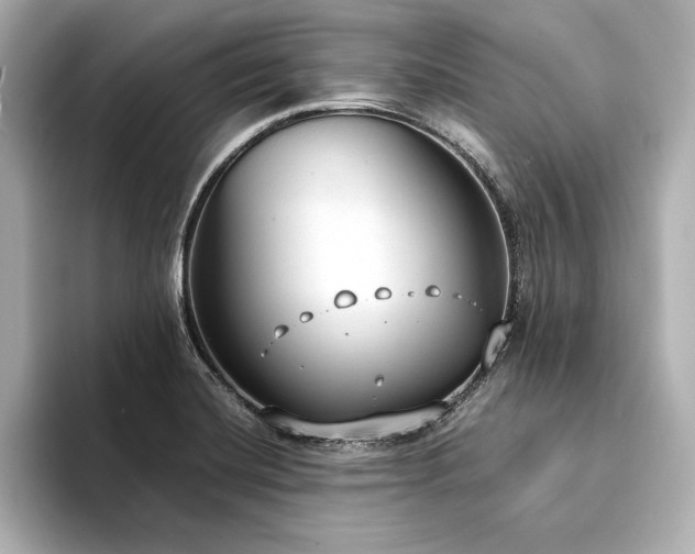 X0000094321420200711021343