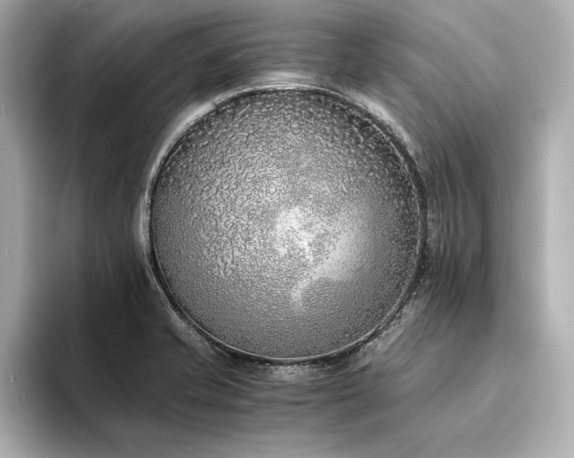 X0000094321421200711021343