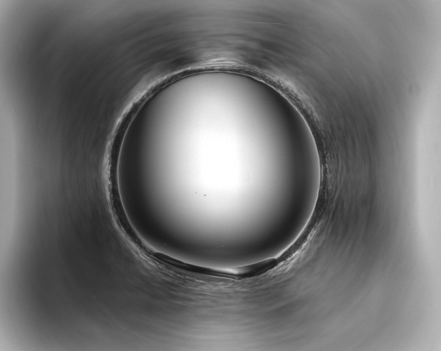 X0000094321422200711021343