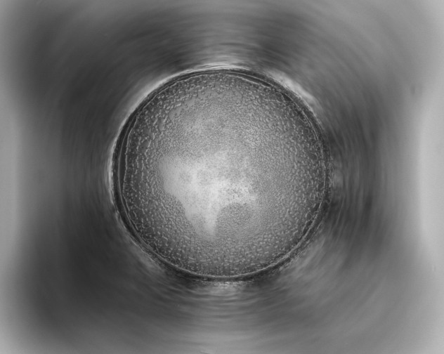 X0000094321423200711021343