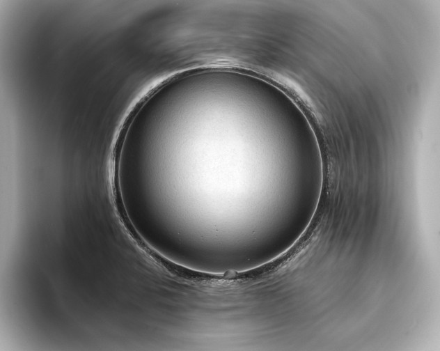 X0000094321424200711021343