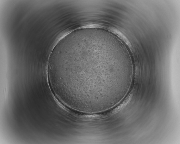 X0000094321425200711021343