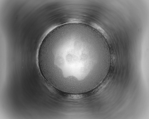 X0000094321427200711021343