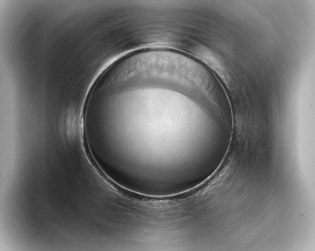 X0000094321428200711021343