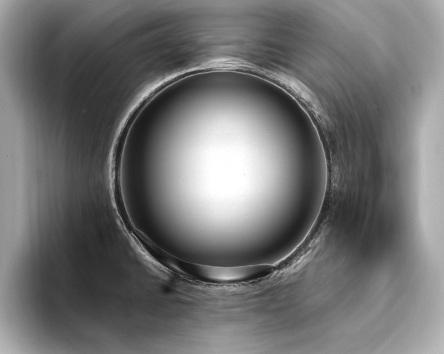 X0000094321430200711021343