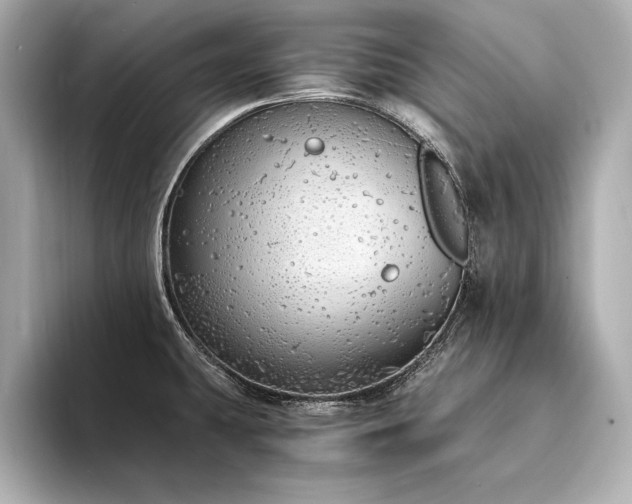 X0000094321431200711021343