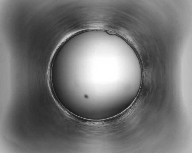 X0000094321432200711021343