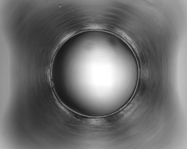 X0000094321433200711021343