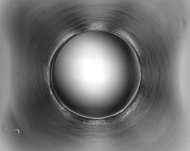 X0000094321434200711021343