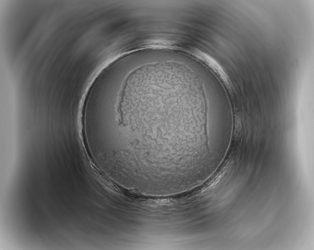 X0000094321435200711021343