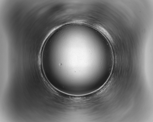 X0000094321436200711021343